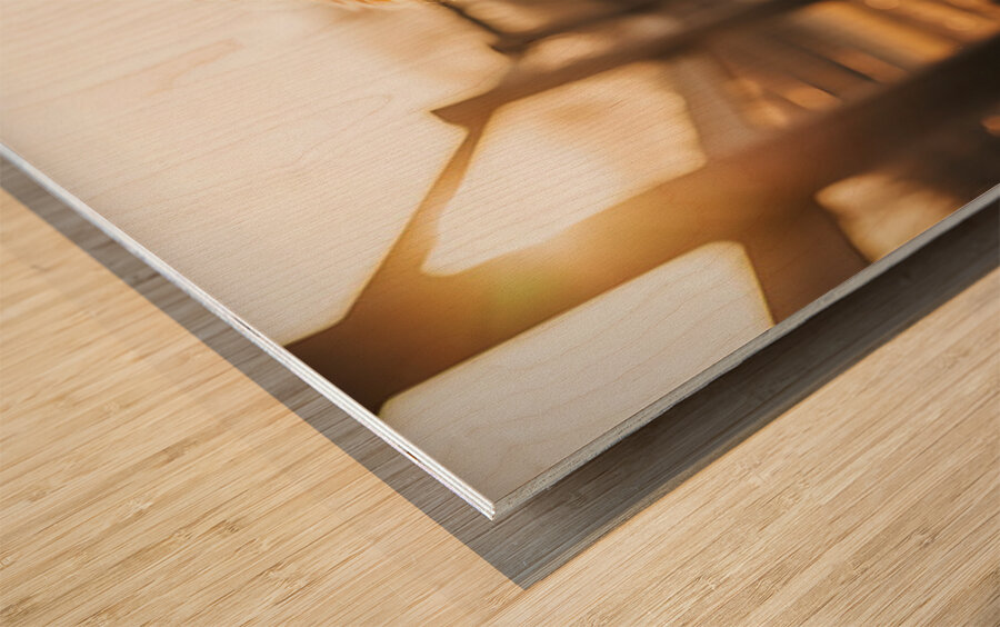 Golden Retriever Puppy Discovers Farm Haystack Adventure Wood print