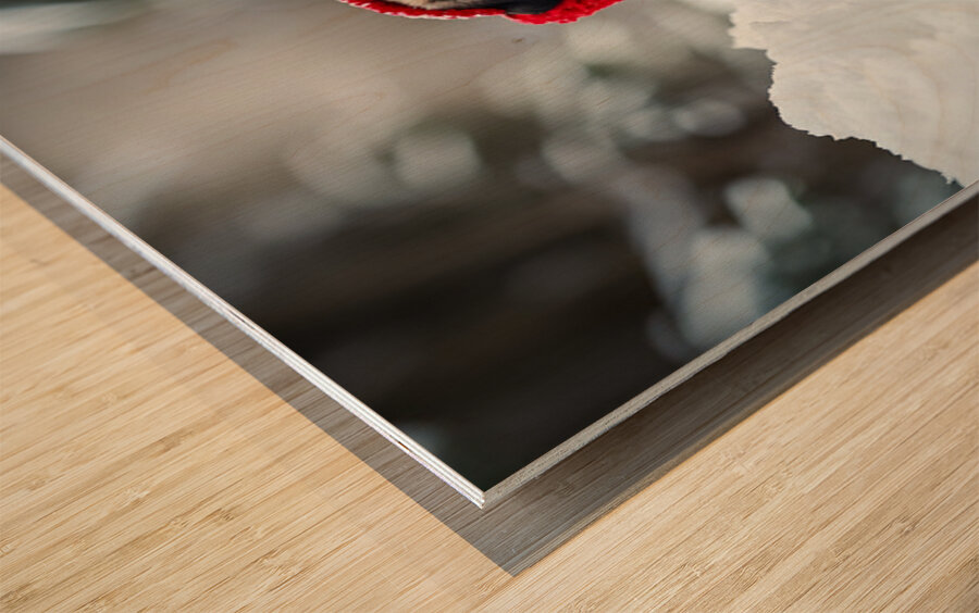 Pug Puppys First Snow Adventure With Red Earmuffs Wood print