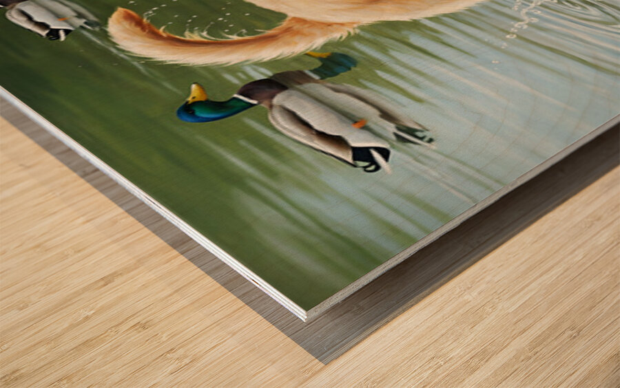 Happy Golden Retriever Puppy Plays With New Duck Friends At Pond Wood print