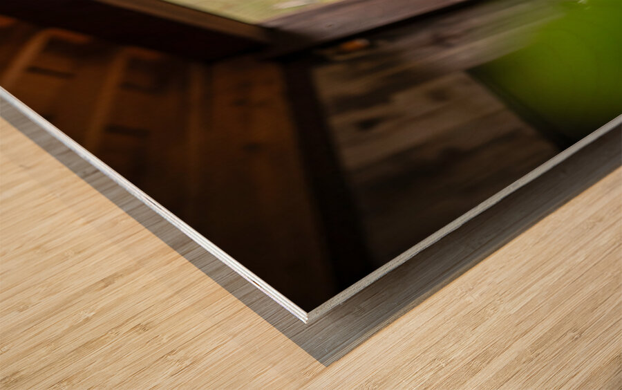 Brave Corgi Puppy Watches Storm Clear Wood print