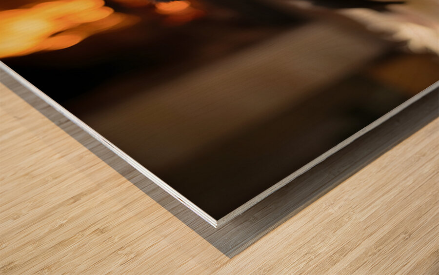 Border Collie Puppy Discovers The Warm Fireplace Wood print