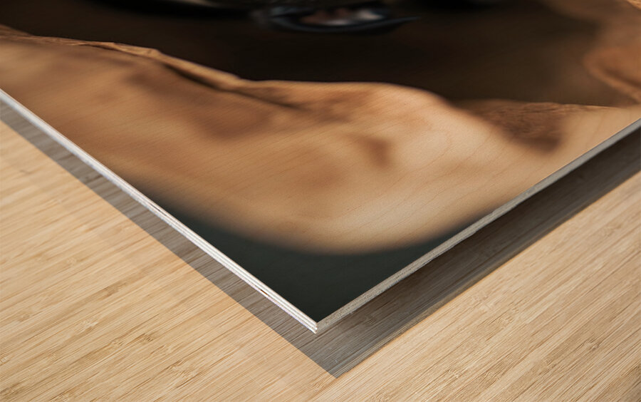 Boston Terrier Puppy Discovers Mysterious Shopping Bag Wood print