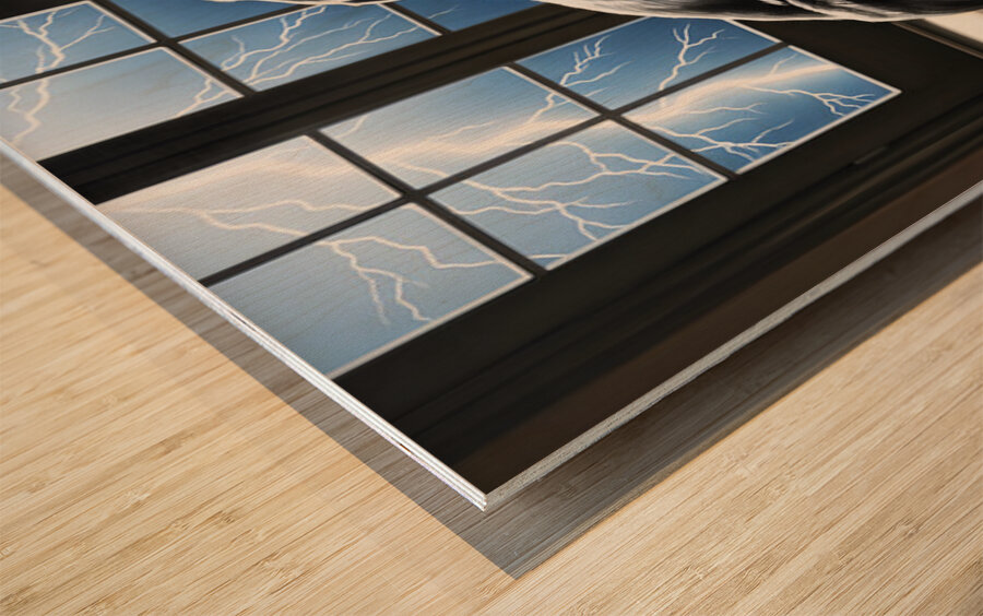 Cane Corso Puppy Seeks Shelter Under Table Wood print