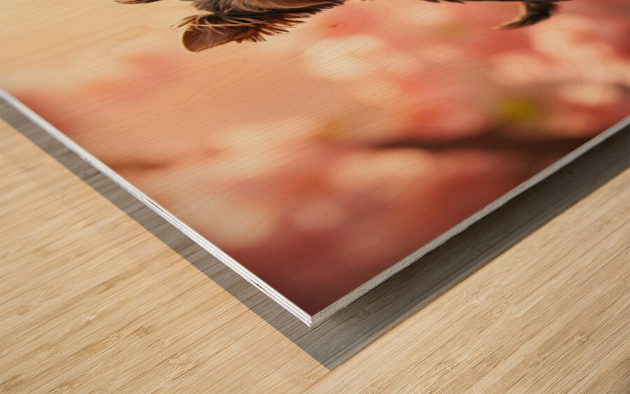 Tired Little King Yorkie Rests On Throne Wood print